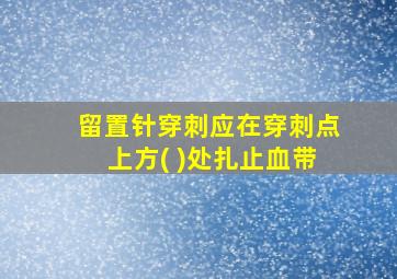 留置针穿刺应在穿刺点上方( )处扎止血带